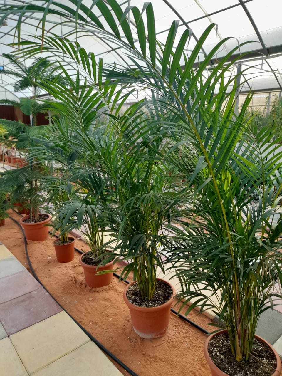 Gallery Image 13