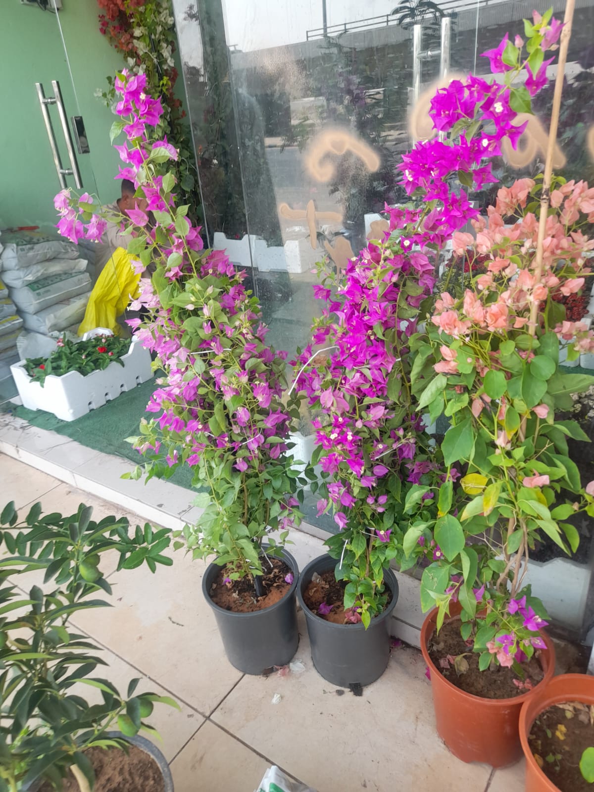 Gallery Image 17