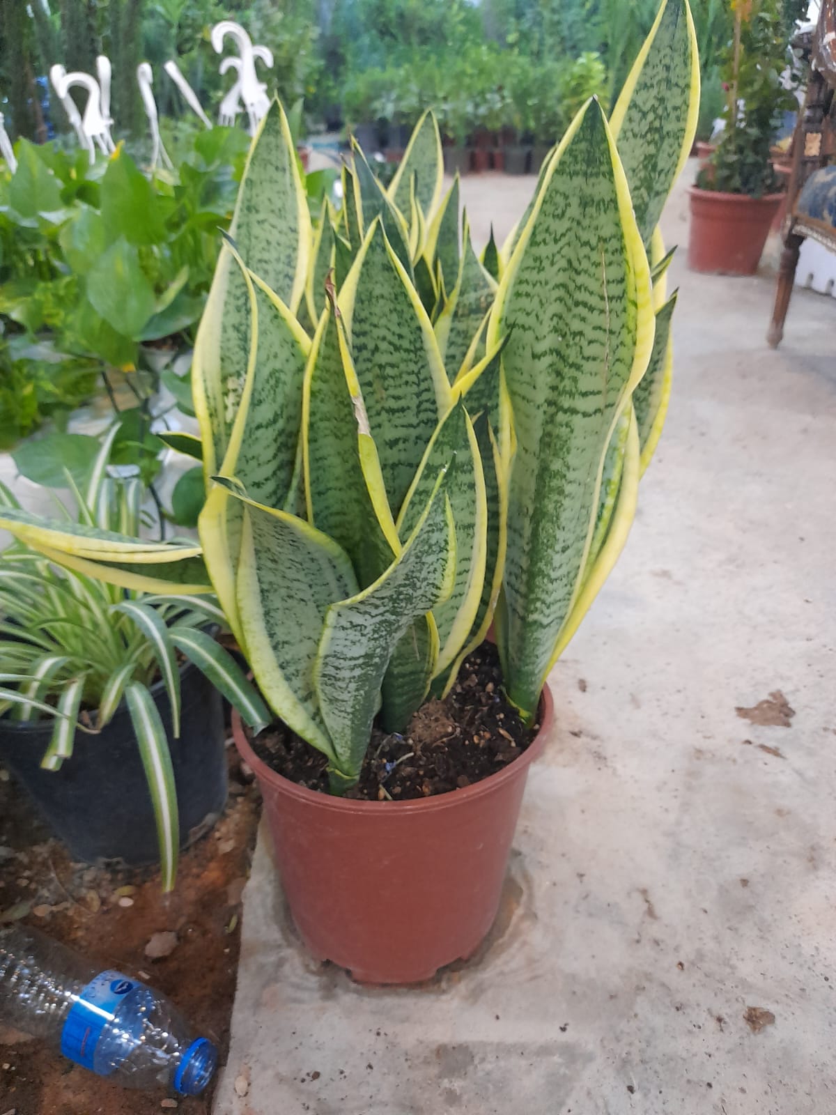 Gallery Image 23
