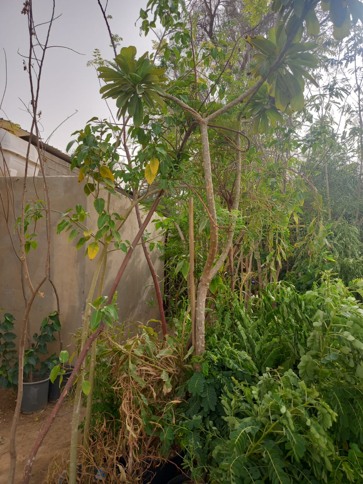 Gallery Image 48