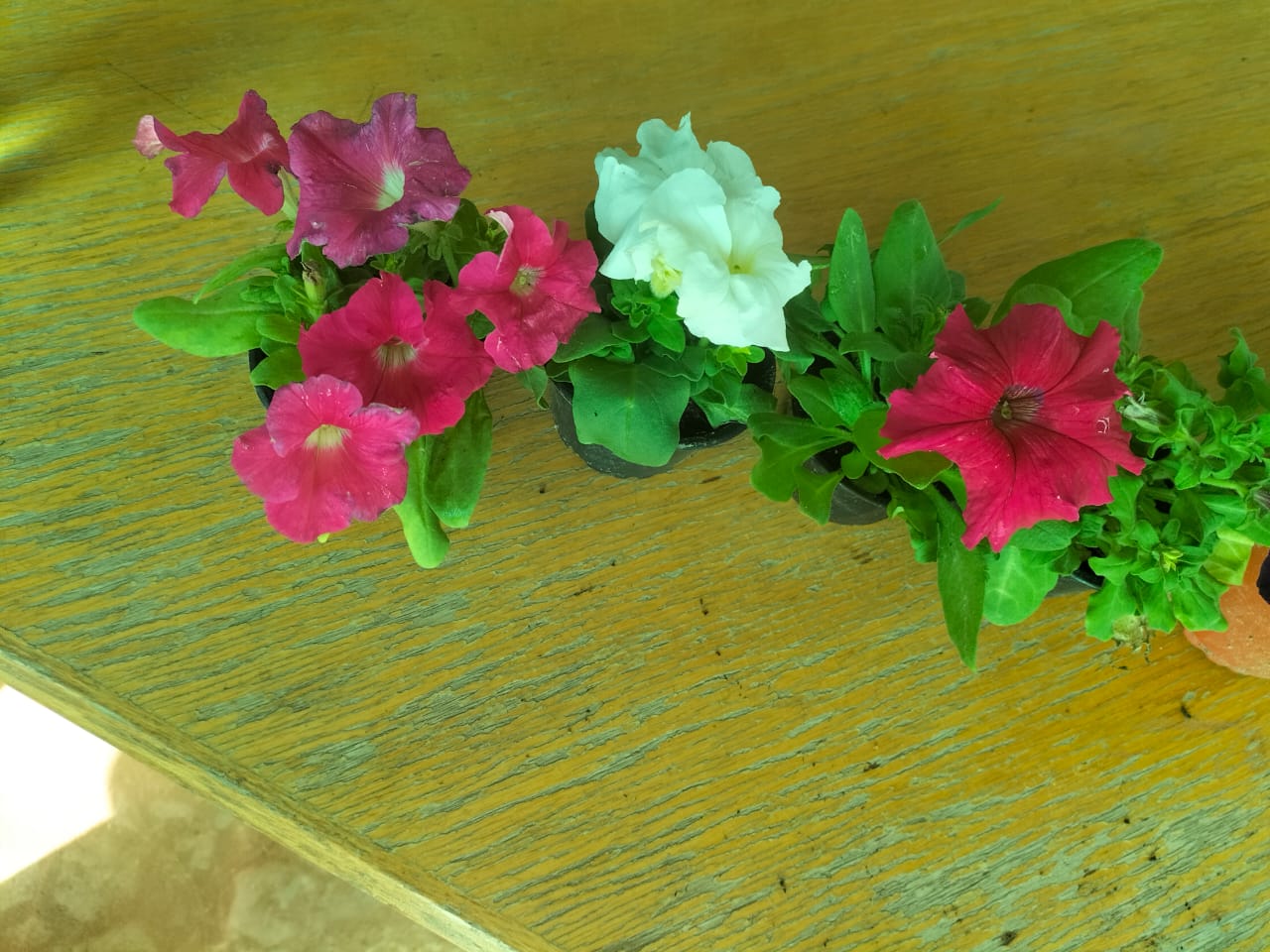 Gallery Image 75
